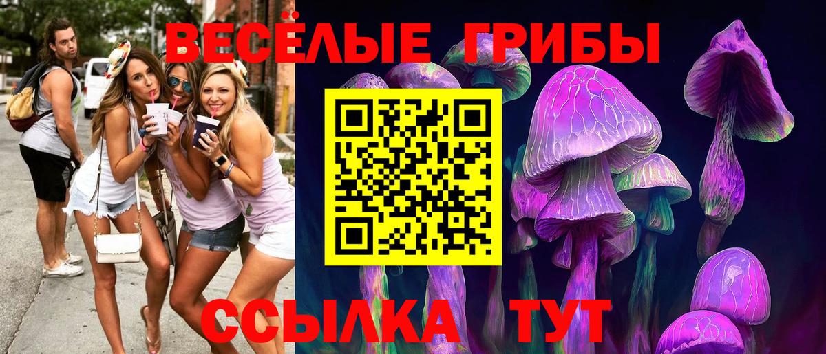 Псилоцибиновые грибы Magic Shrooms  Вход с VPN  Галлюциногенные грибы Cubensis  купить наркоту  Батайск 